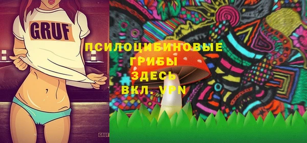 мдпв Мегион