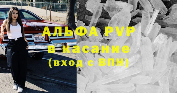 эйфоретик Алзамай